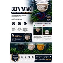 3D Beta Dinlenme ve Köpük Alanı (Sarı Renk)