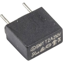 Labshop41 250V Gecikmeli Kondansatör Tip  2A  Sigorta x 1 Adet  (RF007)