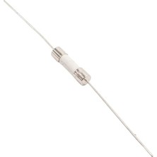 Labshop41 Gecikmeli Seramik Sigorta  3.15A 5X20MM x 1 Adet (RF101)