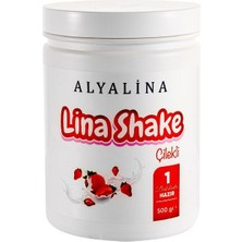 Alyalina Lina Shake Çilekli 500 gr Destekle