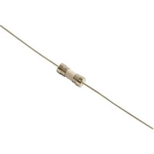 Labshop41 3.6*10MM T2.5A  250V Çift Pin Gecikmeli Seramik Sigorta x 1 Adet (RF160)