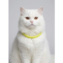 ALMITAL Sarı El Örgüsü Makrome Kedi Tasması 27 cm - Ay Figürlü Charm Şık Kedi Boyun Tasması