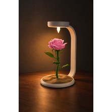 Eb Studio Pembe Gül Işığı Dekoratif Masa Lambası 25,3 cm – Romantik Sıcak Aydınlatma
