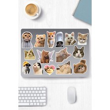 Üstüner Kedi Temalı Sticker Telefon Laptop Notebook Tablet Defter Matara Stiker Etiket