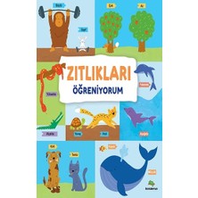 Bookalemun Yayınevi Zıtlıkları Öğreniyorum (Ciltli)