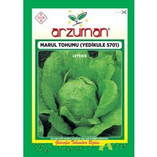 Üstüner Marul Tohumu 1 Paket(10 Gr) Yedikule Marul Tohumu