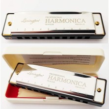 Üstüner 10 Delikli Mızıka Professional Harmonica Do (C)