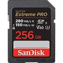 Kazan Hobi 256 GB Sdxc Uhs-Iı Bellek Kartı, C10 U3 V60,6K ve 4K Uhd, SDSDXEP-256G-GN4IN