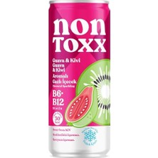 Kazan Hobi Nontoxx Guava Kivi Sirkeli Gazlı Içecek 250 ml