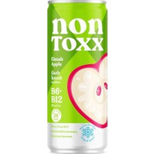 Kazan Hobi Nontoxx Elmalı Sirkeli Gazlı Içecek 250 ml