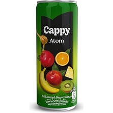 Kazan Hobi Kutu, Atom Ballı Karışık Meyve Nektarı 12X330 ml
