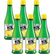 Kazan Hobi Şişe, DOĞANAY%100 Limon Suyu 250 ml x 6 Adet Pet