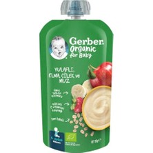 Kazan Hobi Organic Yulaflı Elma, Çilek ve Muz Püre 110G​