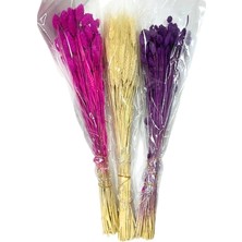 Ceki Home Kurutulmuş Special Mix Çiçek
