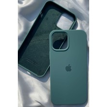 iPhone 13 Için Kılıf Lansman Logolu Içi Yumuşak Kadife 13 Kılıfı Silikon Kaktüs