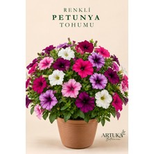 ARTUKA Renkli Petunya Çiçeği Tohumu (25 Ad) | Çiçek Tohumu