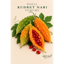 ARTUKA Doğal Kudret Narı Tohumu (20 Ad) | Ata Tohum