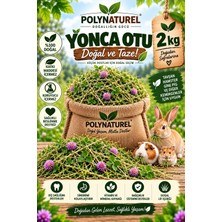 Polynaturel Doğal Yonca Otu 2000 gr – Tavşan, Hamster, Guinea Pig ve Kemirgenler Için Kuru Yonca Yemi