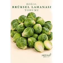 ARTUKA Doğal Brüksel Lahanası Tohumu (100 Ad) | Ata Tohum