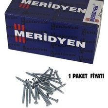 Meridyen Sunta Vidası 3.5X50 mm (500 Adet)