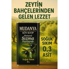 Vakıfbirlik Mudanya Soğuk Sıkım Sızma Erken Hasat Yeni Sezon 5L(4800GR) Zeytinyağı