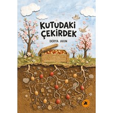 2E Kitap Kutudaki Çekirdek
