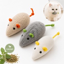 Store 3’lü Catnipli Bez Fare Kedi Oyuncağı – Kedi Nanesi Dolgulu Kaliteli Peluş Fare Seti, Yumuşak Kovalama ve Avlanma Oyuncağı, Yavru ve Yetişkin Kediler Için