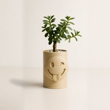 Bin1çeşit 3D Baskı Emoji Planter - Göz Kırpan Yüzlü Sukulent Saksısı-Bej
