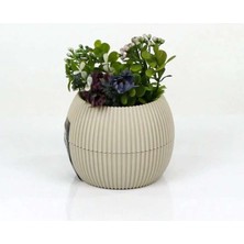 Bin1çeşit Mercan Saksı 11.5X12 cm 0.70 Lt