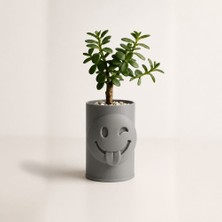 Bin1çeşit 3D Baskı Emoji Planter - Göz Kırpan Yüzlü Sukulent Saksısı-Gri