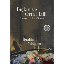 TeknoKapsül Bıçkın ve Orta Halli: Cinayet, Ülke, Cinnet