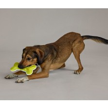 Tchibo Köpekler Için Oyuncak, Kemik