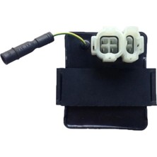 rialli Cdı Ecu Honda Cbf 150 (Beyin) (Yeni Model) (Kablolu) (Ithal)