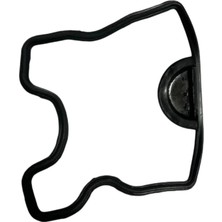 Külbütör Tvs Apache Rtr 200 (Subap Kapak Contası) (NF010090)
