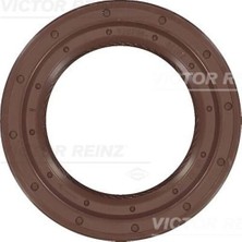 Victor Reinz 81-35354-00 Shaft Oıl Seal