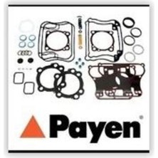 Payen DY030 Üst Takım Contası Megane Logan 1.5 7701468710