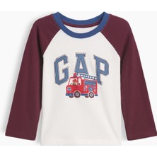 Gap Erkek Bebek Bordo Colorblock Logo T-Shirt