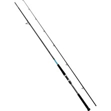 Shimano Bassterra Xt 305 cm 50-150 gr Shore Jig Kamışı