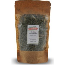 Karşı Köyden Kırkkilit (At Kuyruğu) Equisetum Arvense 20 gr Kilitli Doypack Doğal ve Katkısız