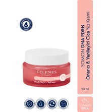 Celenes By Sweden 2 Adet Celenes Somon Dna Cica Yüz Kremi 50 ml