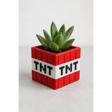 Minecraft Blok Saksı 3D Baskı Mini Sukulent Saksısı Dekoratif