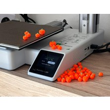 Home 10 Adet Mini Balkabağı Pumpkin Halloween