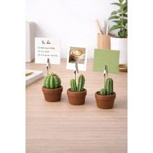 3 Adet Not Tutucu Kaktüs Fotoğraf Tutacağı