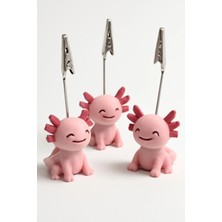 Axolotl Not Tutucu 3lu