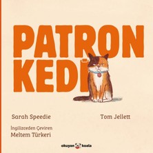 Okuyan Koala Patron Kedi