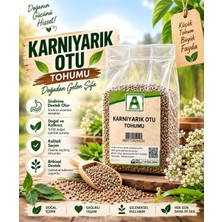 AKTARZANE Karnıyarık Otu (Psyllium) 100% Doğal Yüksek Lif Kaynağı 1 kg