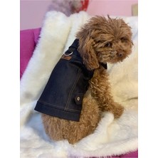 St. Morritz Köpek Kedi Kot Ceket Yelek