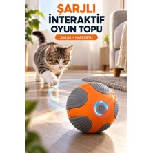 Interaktif Kedi Köpek Şarjlı Oyun Topu
