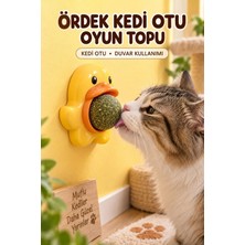 Ördek Kedi Otu Oyun Topu