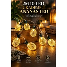 2m 10 LED 2 Kademeli Ananas LED Işık Pilli